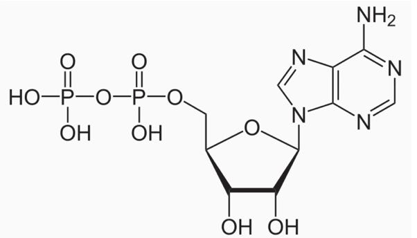 A structure of a chemical formula

AI-generated content may be incorrect.
