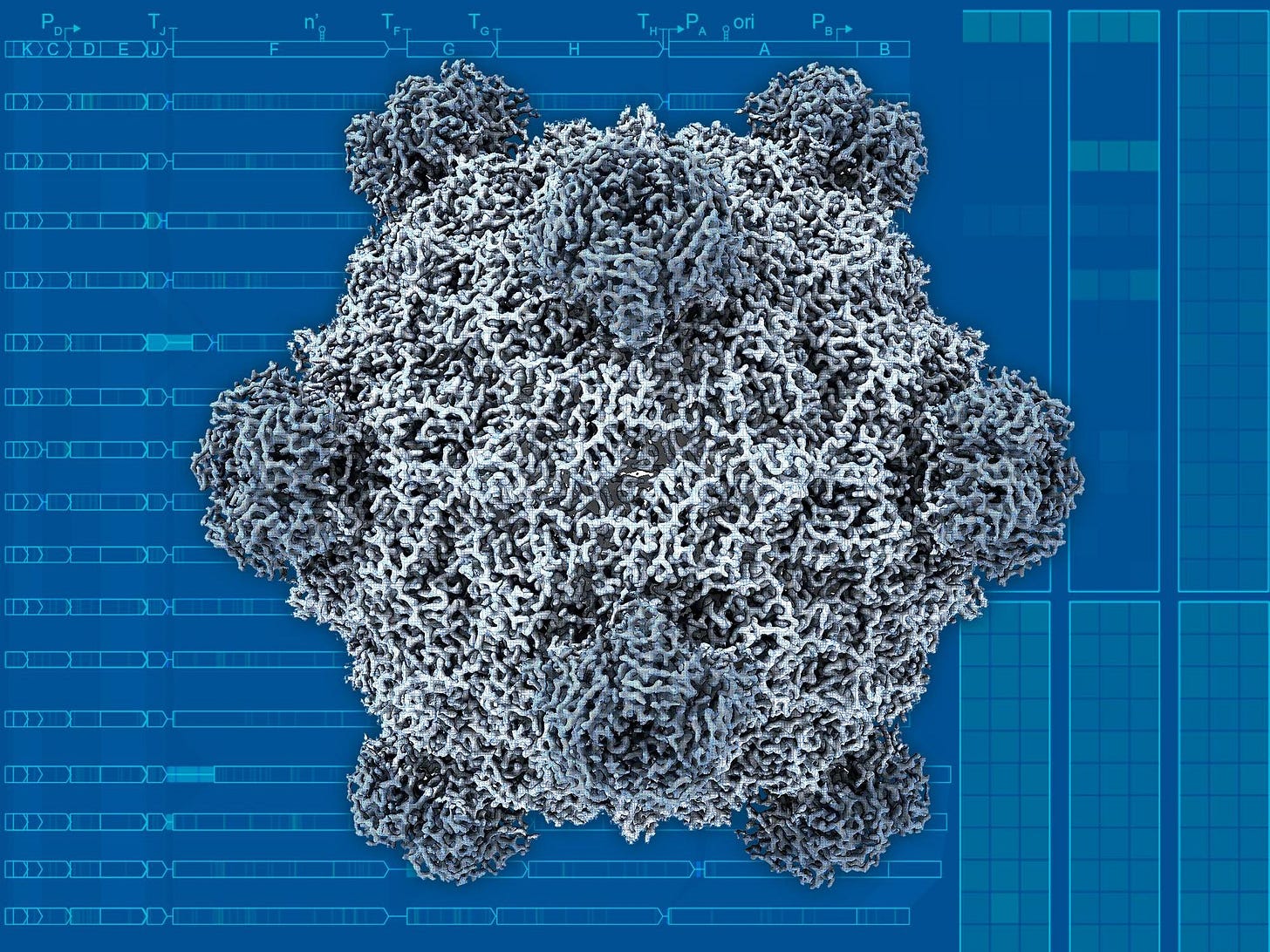 AI Can Now Design Functional Viruses - IEEE Spectrum AI Can Now Design Functional Viruses - IEEE Spectrum