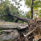 I never expected to be living in a declared disaster zone