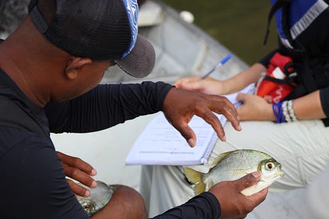 Monitoring aquatic life. Credit: Anita Makri