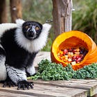 Rally Crowd Smaller Than Trump Claims, Just Like His Wanger