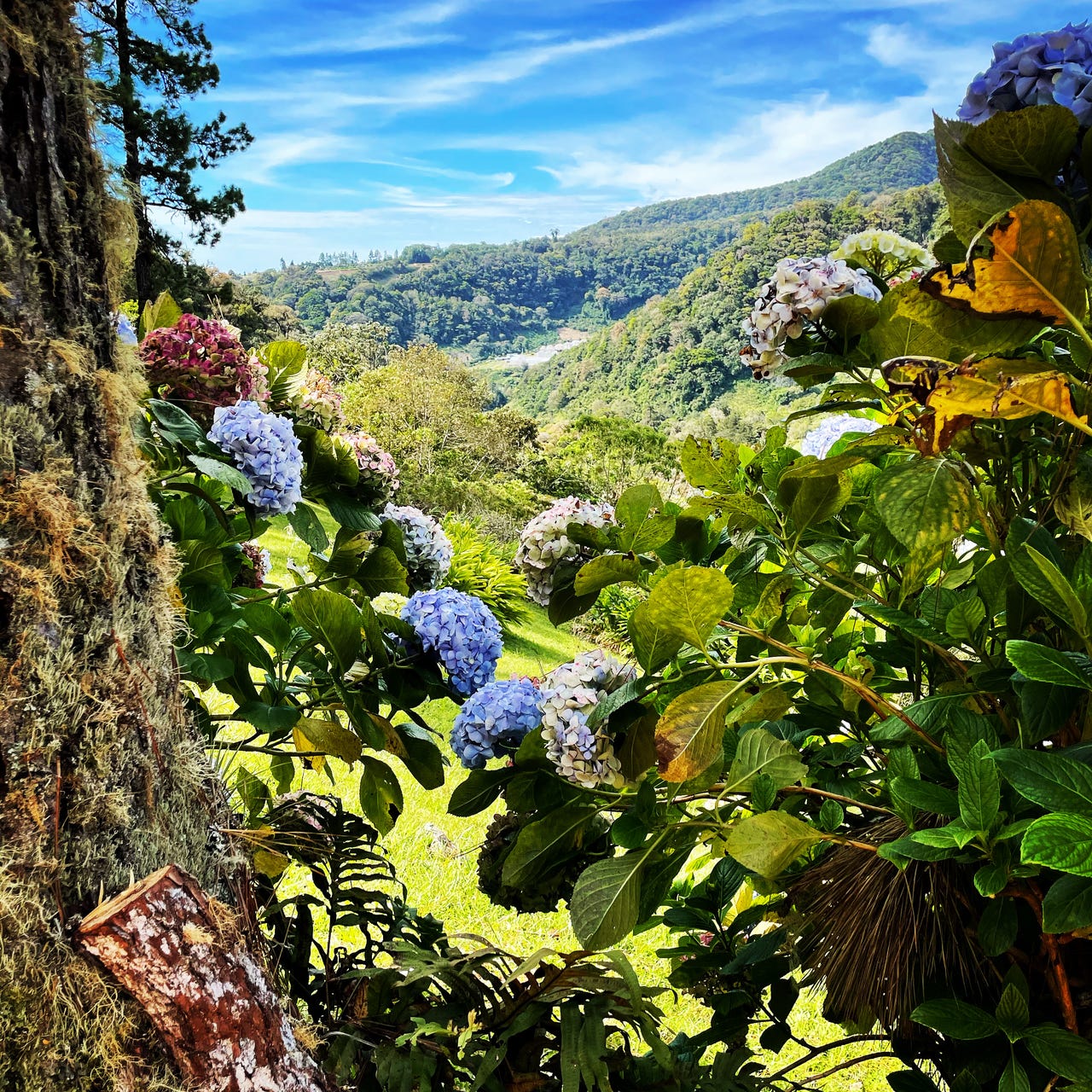 Leben und Investieren in Panamá