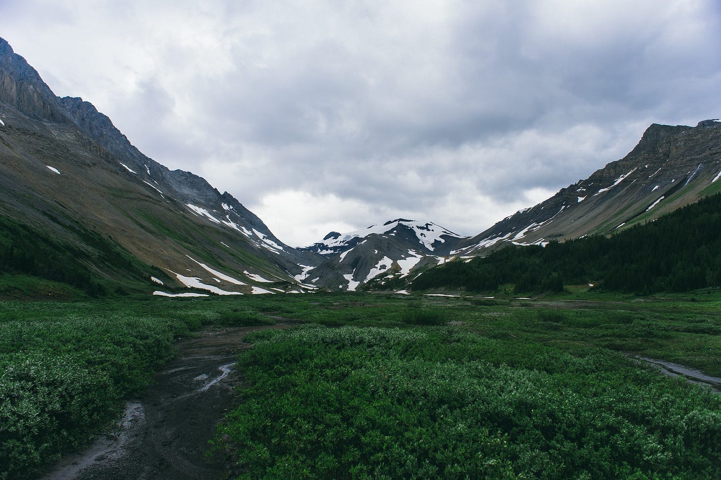 A photo in this story