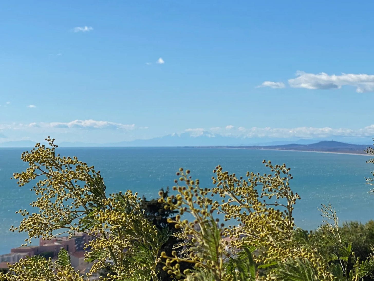 Le Canigou Le Canigou