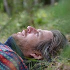 Wege zu einer Wiederverwurzelung