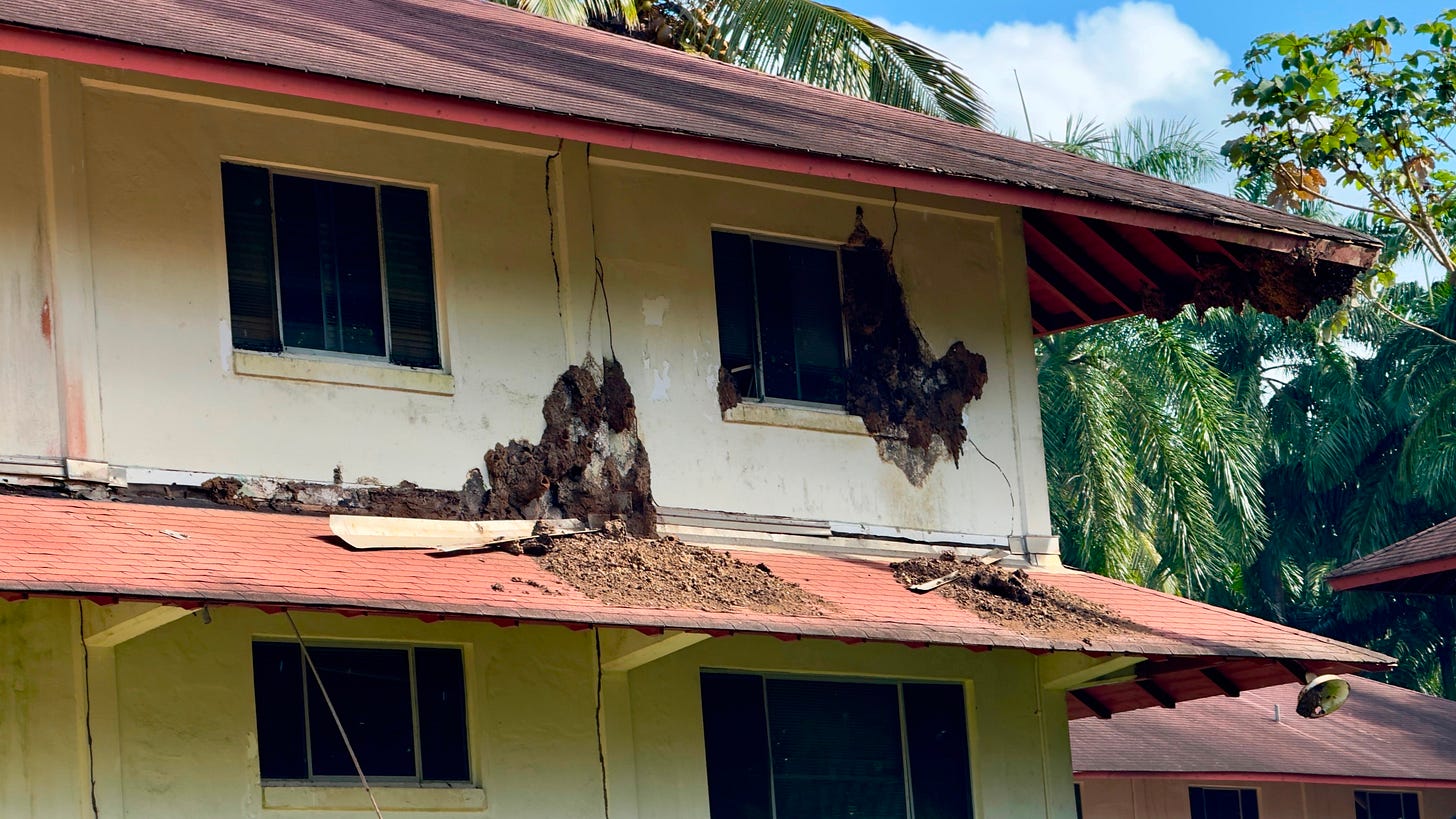 Termite Hotel