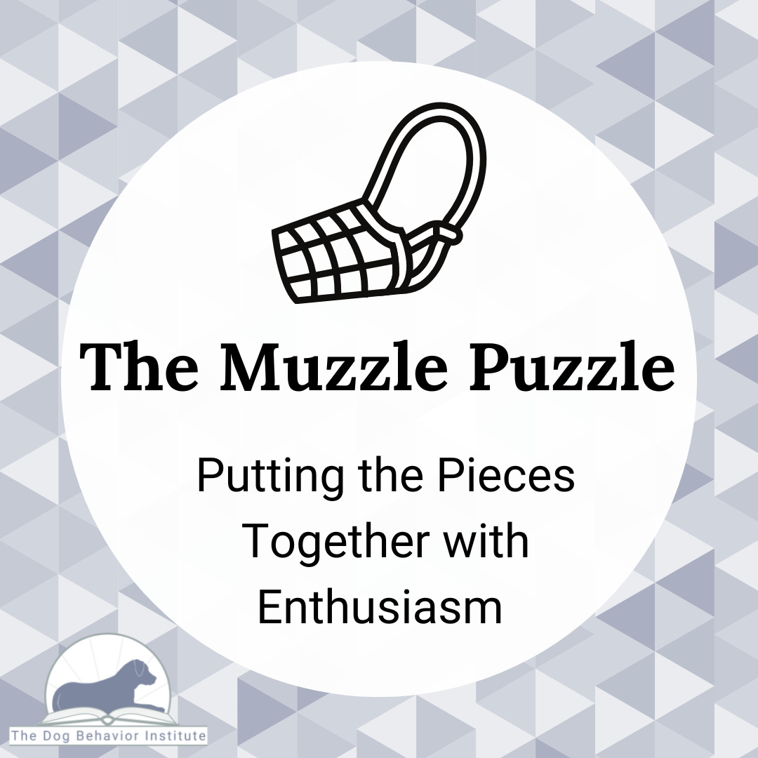 Group Class - The Muzzle Puzzle — The Dog Behavior Institute