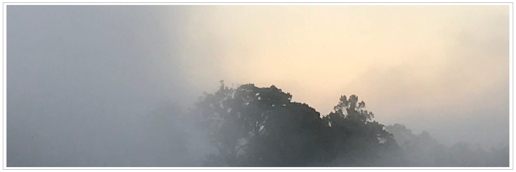 morning light warming and breaking through dense fog covering mountain treetops