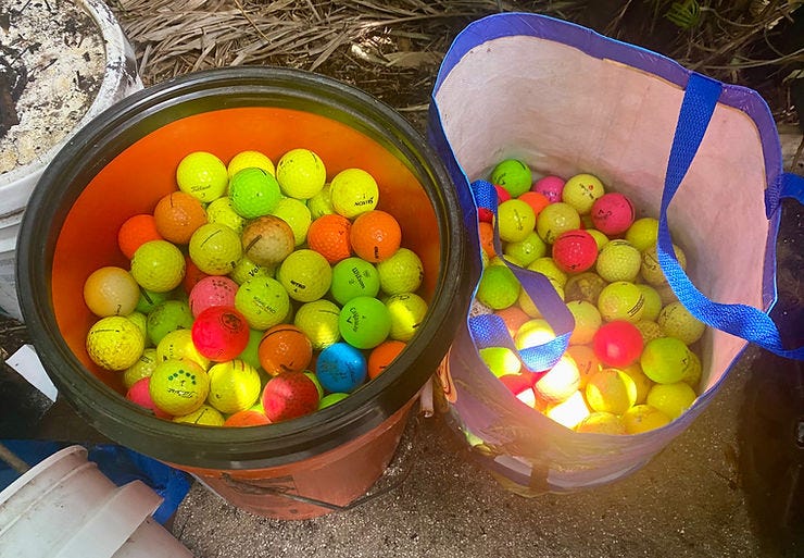 A 'fraction' of the golf balls Per Lorentzen says he has collected from his yard. (JOE CAPOZZI)
