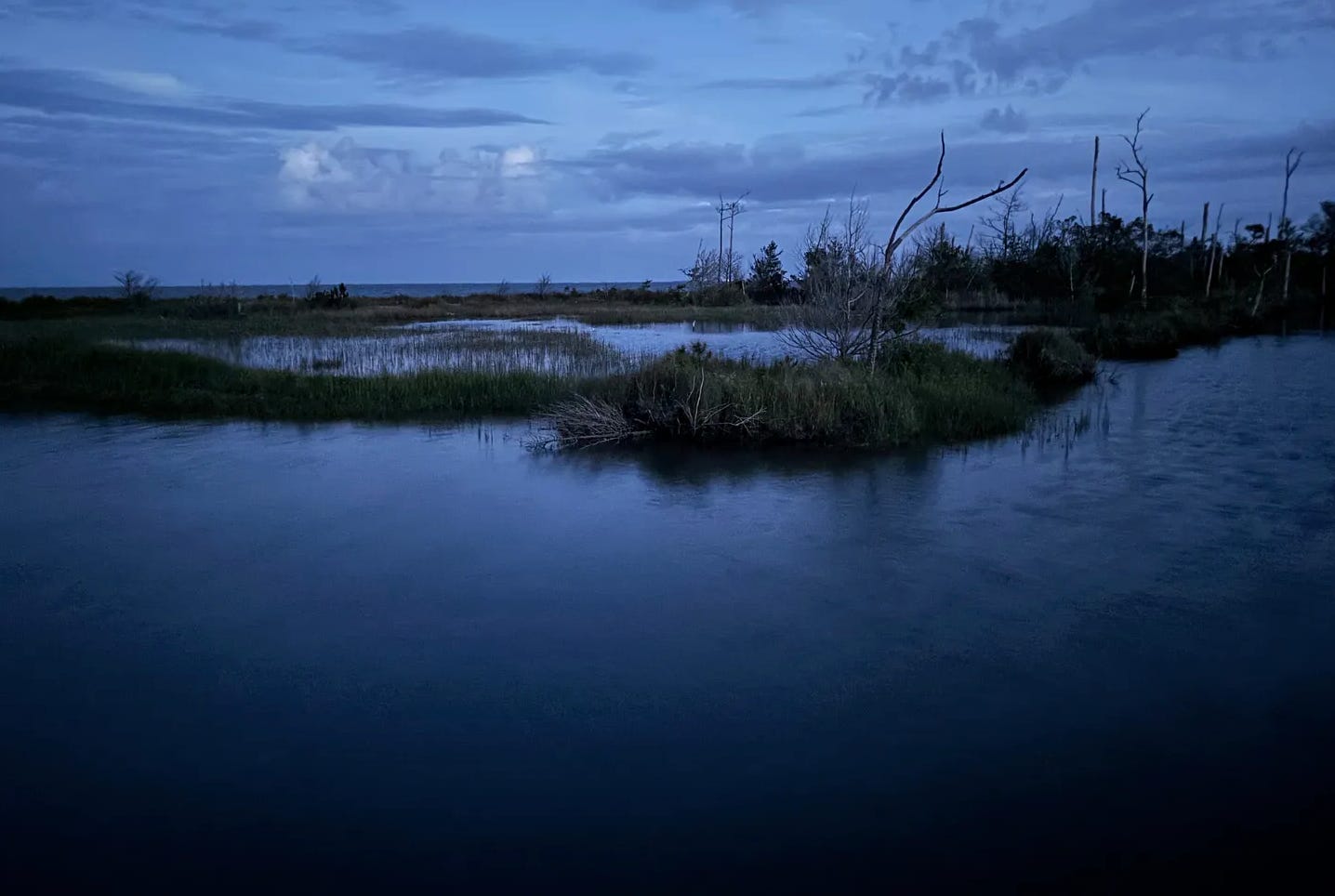 A marshland in blue, sky only slightly lighter than the dark blue water