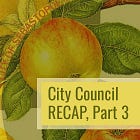 Despite deficit fears, Sebastopol City Council considers tripling council stipends