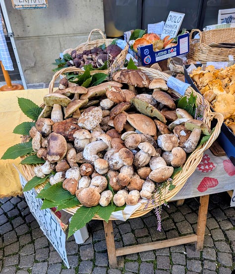 Porcini Festival