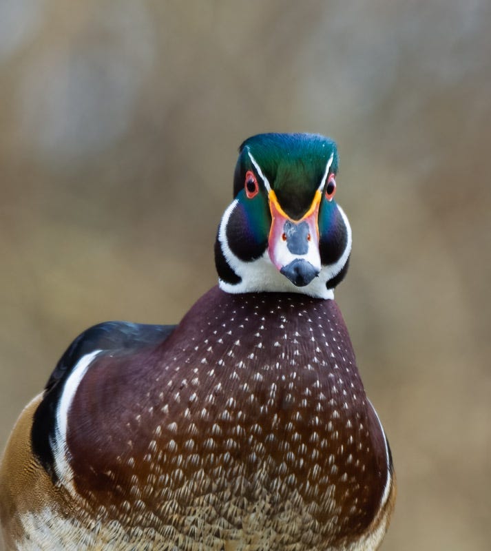 20190209_SF-146-Edit.jpg 20190209_SF-146-Edit.jpg