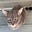 Cat lady's avatar