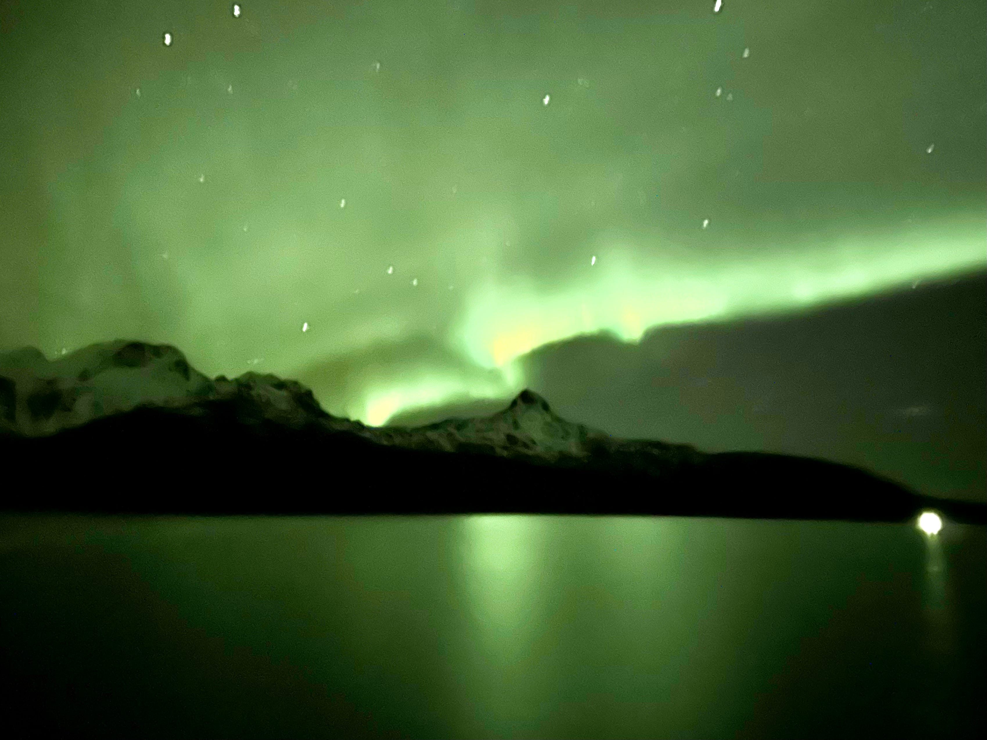 Wildlife and Conservation 11: Christmas Reindeer \u0026 Memories of the Arctic  Circle, image size:3399x2549