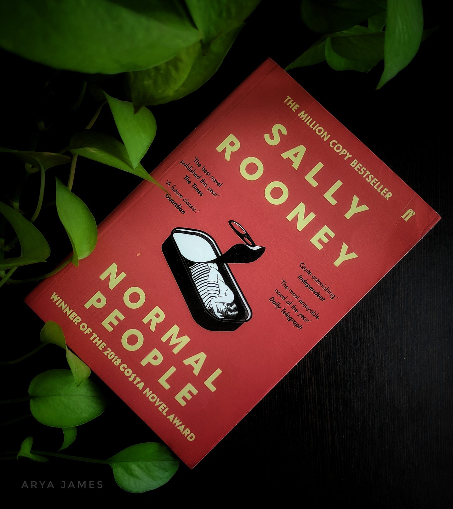A photo of Sally Rooney's "Normal People." The book is next to a pothos plant with the leaves touching its edges. The colour is orangish red with the image of a man and a woman hugging each other, lying in a suitcase.
