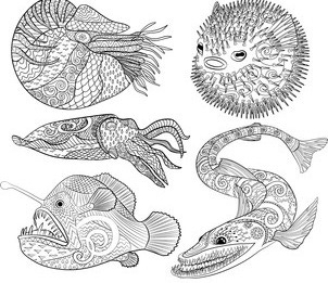 Ugly Fish Isolated: Over 710 Royalty-Free Licensable Stock Illustrations &  Drawings | Shutterstock