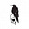 Silverfox's avatar