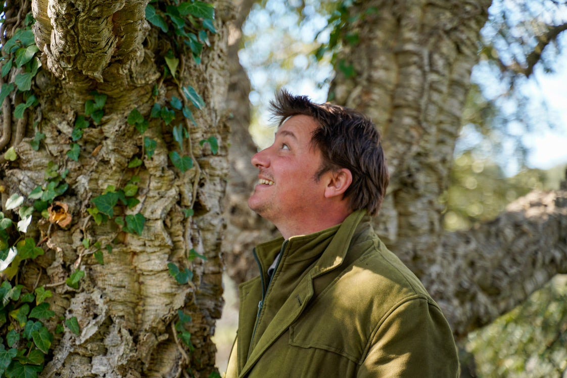 Edward Cutler among the cork oaks.