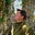 Edward James Cutler's avatar