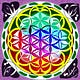 Inner Evolution Press
