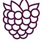 Elizabeth's avatar
