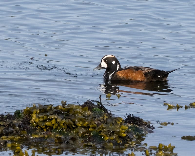 20250610-SJI-387-Edit.jpg 20250610-SJI-387-Edit.jpg