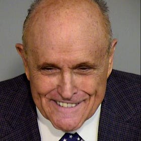 Fake electors; real mug shots