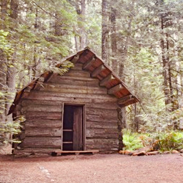 The Cabin Conservative