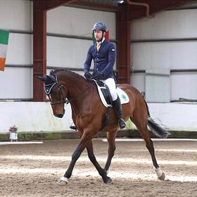 Equestrian Inspirations: Wayne Hamilton