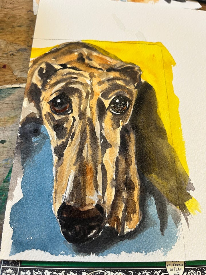 watercolour painting of a brindle greyhound and a dog in a window