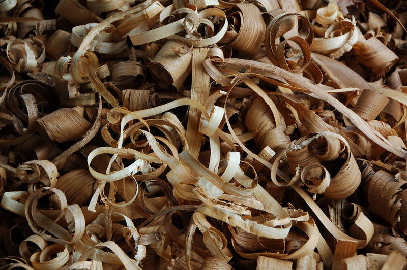 Wood shavings Wood shavings