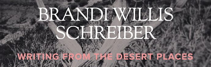 Writing from the Desert Places