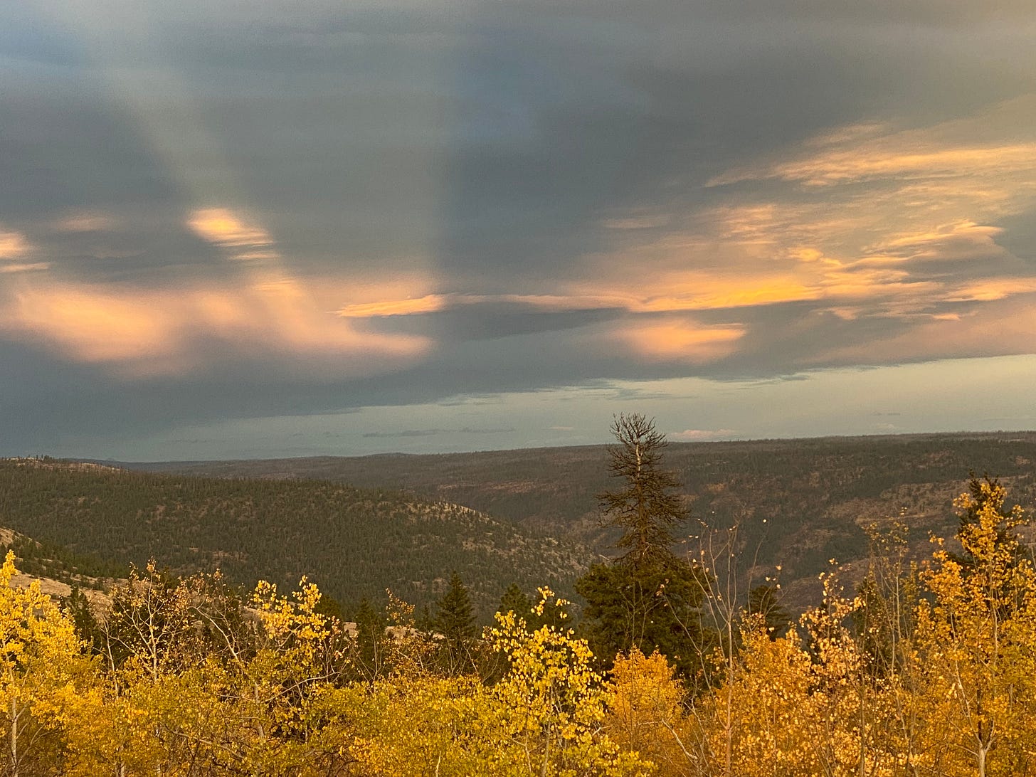Cariboo landscape with darkening sky overhead Cariboo landscape with darkening sky overhead