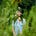 Marielle Chua's avatar