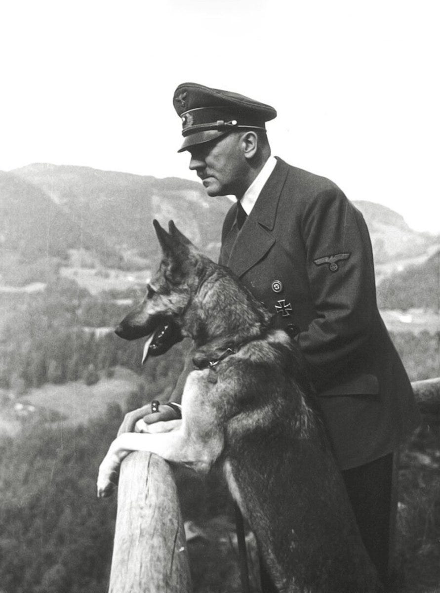 Dog and Hitler - HubPages