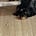Seher's avatar