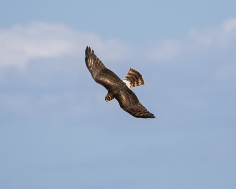 20250930-Manville-99-Edit.jpg 20250930-Manville-99-Edit.jpg