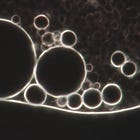 Non-decaying blood ... - what is that?