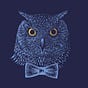 Bowtied Owl's avatar