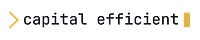 Capital Efficient