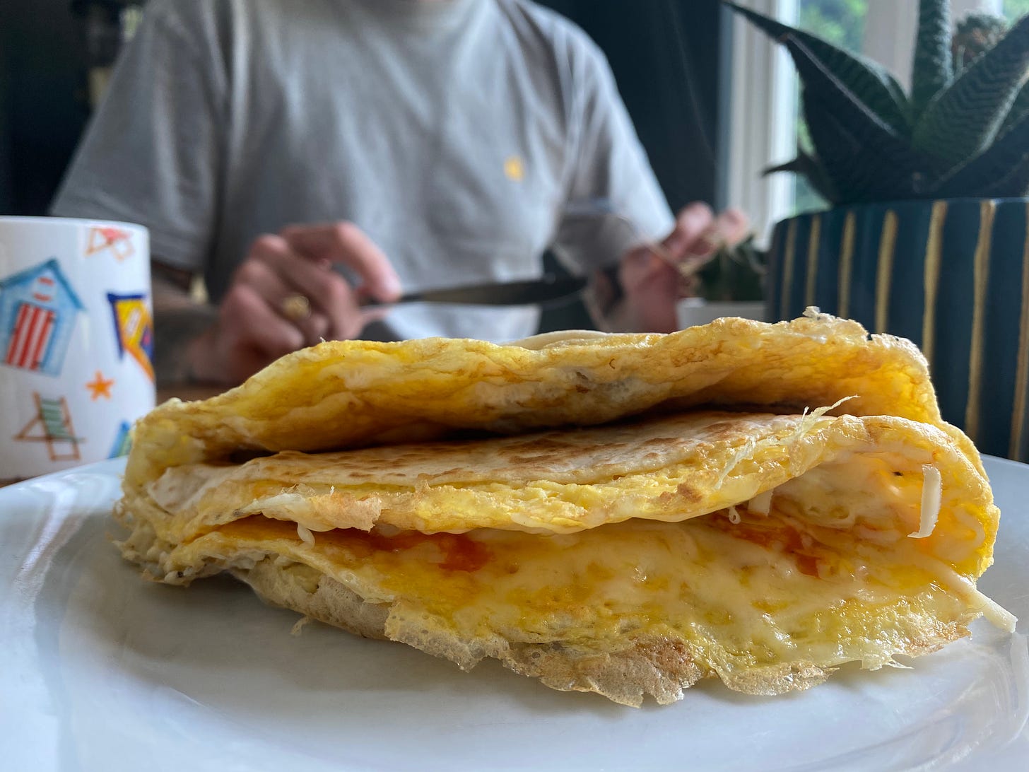 Open end of a quesadilla on a white plate. A seaside mug, planted cactus and person wearing grey t-shirt in the background