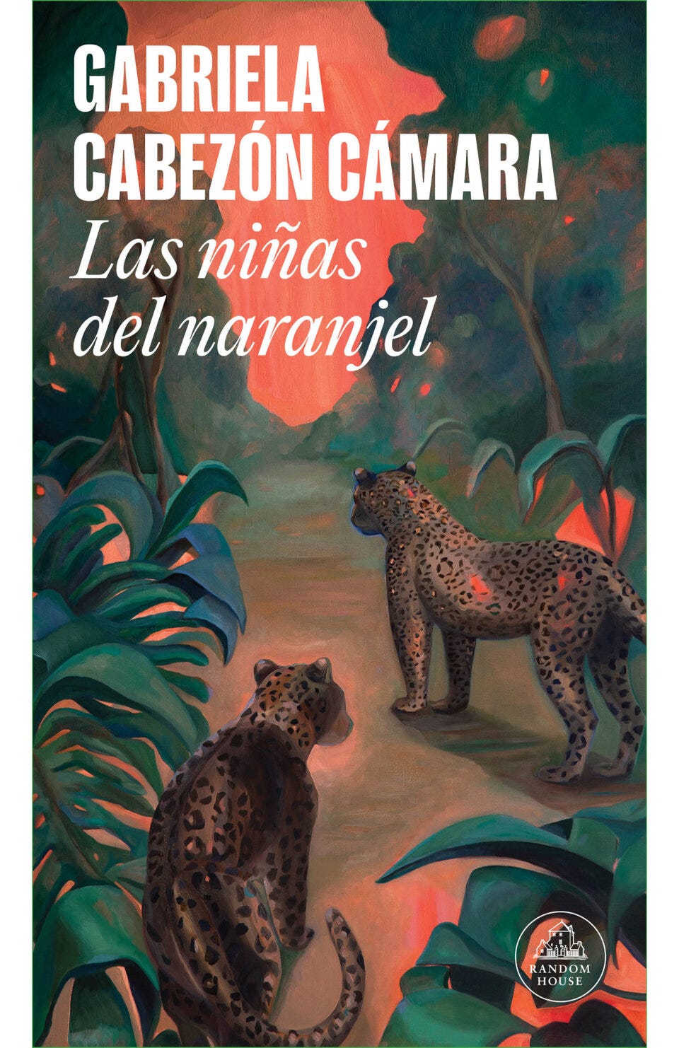 Las niñas del naranjel, libro de Gabriela Cabezón Cámara
