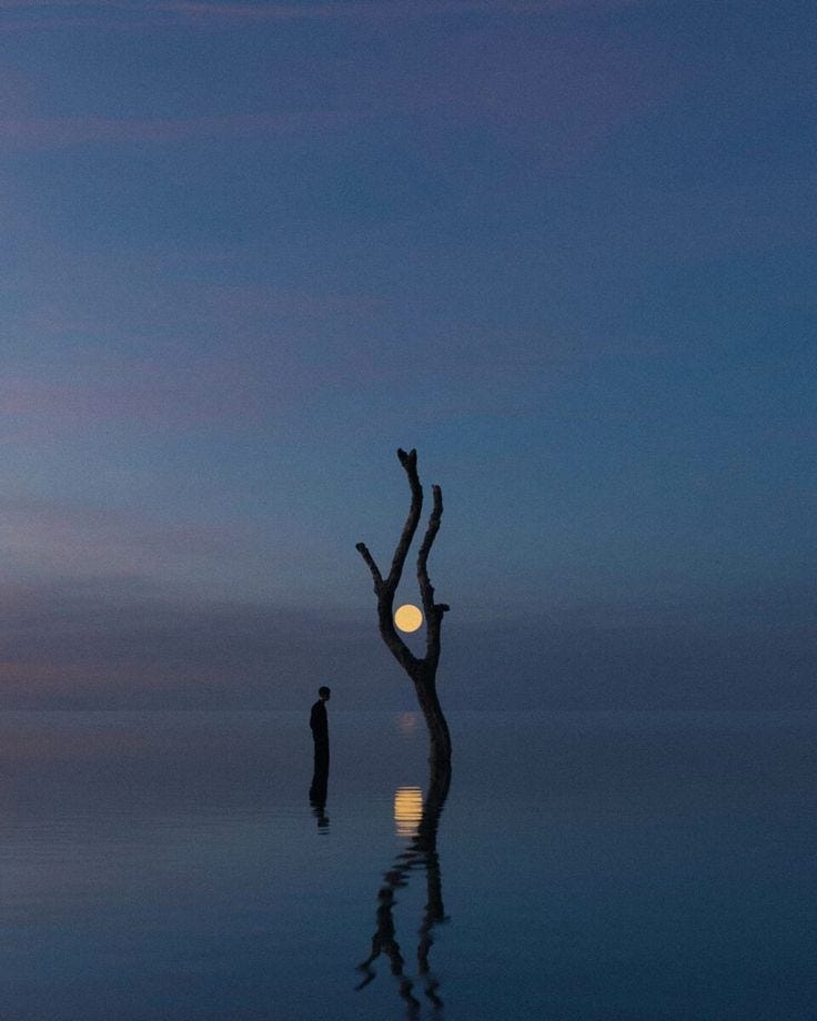 A Pinterest pin added by olivebranch on Dec 30, 2023. The author is Nika Larinhova. May present: gesture, happy, cloud, sky, water.