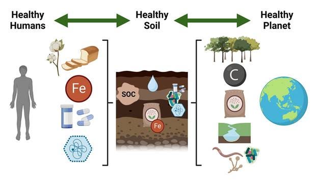 Full article: Healthy soil for healthy humans and a healthy planet Full article: Healthy soil for healthy humans and a healthy planet