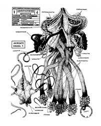 Navigation or filtration: Vilém Flusser and the vampiric alternative of the  digital imaginary