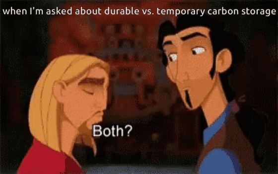 GIF from The Road to El Dorado of Miguel and Tulio leaning together. Top text: "when I'm asked about durable vs. temporary carbon storage" Subtitle: "Both?"