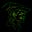 Robin Hood 泥棒's avatar