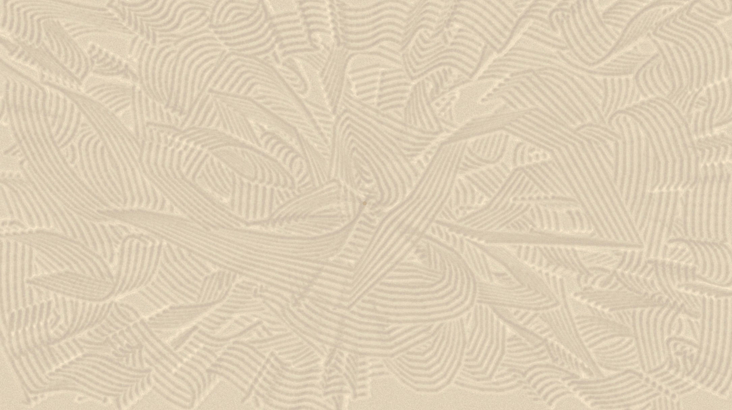 IMG_2125.jpeg IMG_2125.jpeg