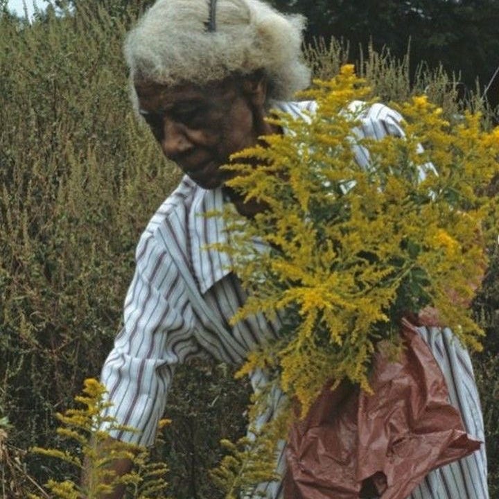 365 Days of Poetry & Honesty  